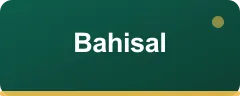 Bahisal bonus kartı