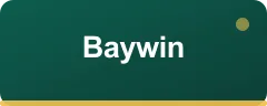 Baywin bonus kartı