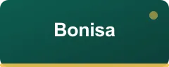 Bonisa bonus kartı