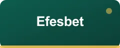 Efesbet bonus kartı