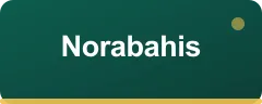 Norabahis bonus kartı