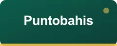 Puntobahis bonus kartı